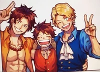 Ace-Sabo-Luffy