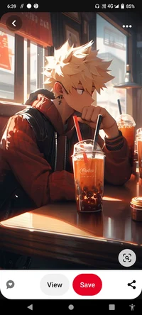 Older brother Bakugo