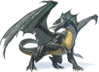 Ancient Black Dragon