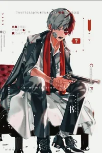 Shoto Todoroki 