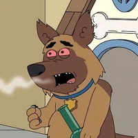 Bullet the dog 