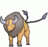 Tauros Dad