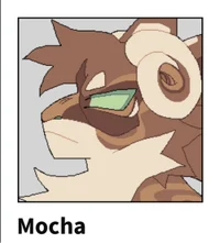 Mocha -KP