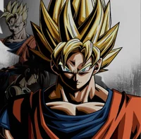 Dragonball XenoVerse