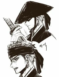 Zoro samurai 
