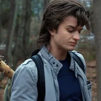 Steve Harrington 