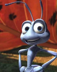 Flik 111111111111111