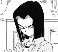 Android 17