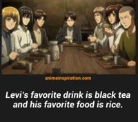 Levi Ackerman 