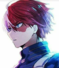 Shoto todoroki 