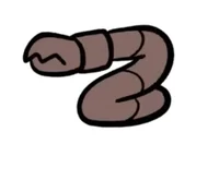 worm