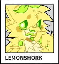 Cali The Lemonshork