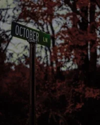 Halloween night