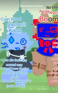 koop and boom