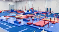 Gymnastics class