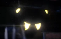 Serial Designation N