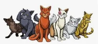 Warrior cats rp