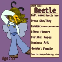 Beetle bee