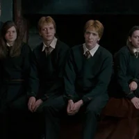 Gemelos Weasley 