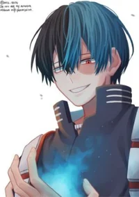 shoto todoroki 