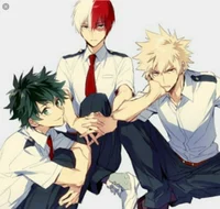 Todobakudeku pais