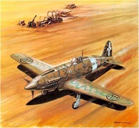Macchi C202 Folgore