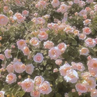 Your best friend- BL