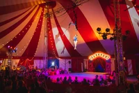 The Circus