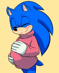 Pregnant Sonic 
