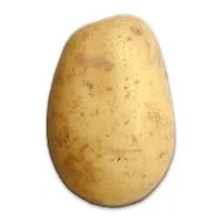potato