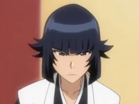 Soi fon 