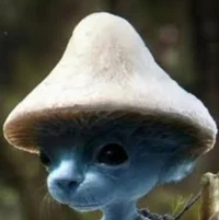 smurf cat