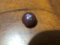 The Glitched Skittle