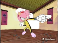 Karate island Amy 