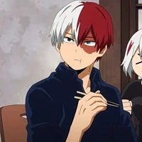 Shoto Todoroki 