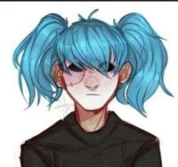 Sally face