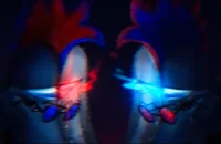 Blue Eye and Red Eye