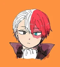 Shoto Todoroki 