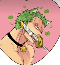 Zoro C