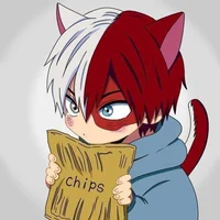 Shoto Todoroki 