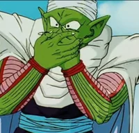 Piccolo Jr