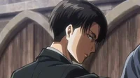 Levi Ackerman 