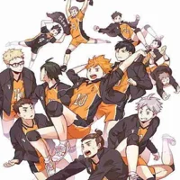 HQ Karasuno Boys VB