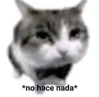 Gatito malo