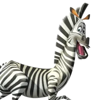 Marty the Zebra