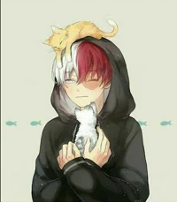 Shoto Todoroki