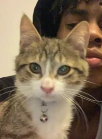 emilo
