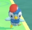 Grey the piplup
