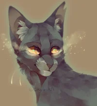 gray wing