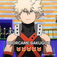 Bakugou novio